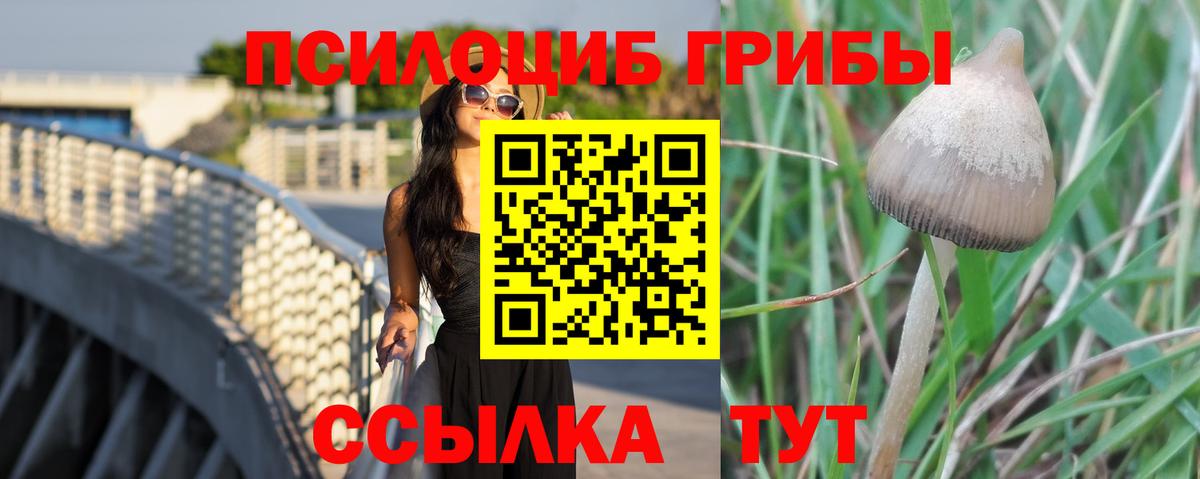 Галлюциногенные грибы Magic Shrooms  Псилоцибиновые грибы Magic Shrooms  Вход с VPN  Якутск 