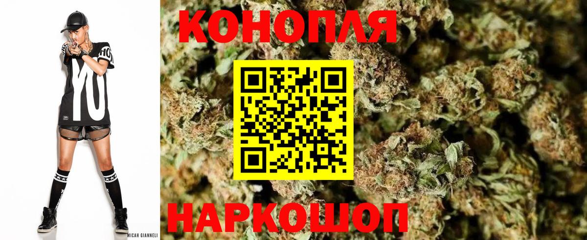 Бошки Шишки планчик Якутск